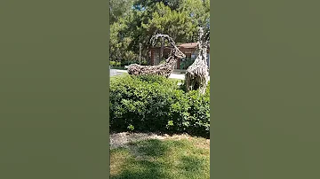 Antalya Konyaaltı Hayatpark Garden Beach Sunset Travel Sea Life Nature Summer Love Park 