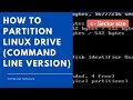 How to partition Linux drive (command line version)