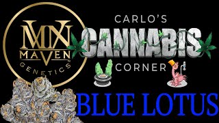 Sports Performance CCC: Ep.18 Maven Genetics Blue Lotus