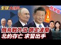 波蘭俄無人機入侵