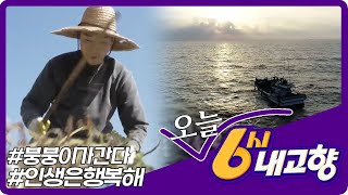 [2022년 10월 31일 월요일 미리보기] | KBS 방송
