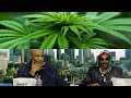 Mike Tyson and Snoop Dogg Smoke Weed and Talk Business I GGN News