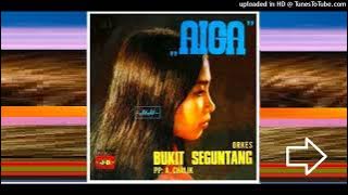 ORKES BUKIT SIGUNTANG (Penjanji. Murni) & M Noor HS) - Aiga [1960s]