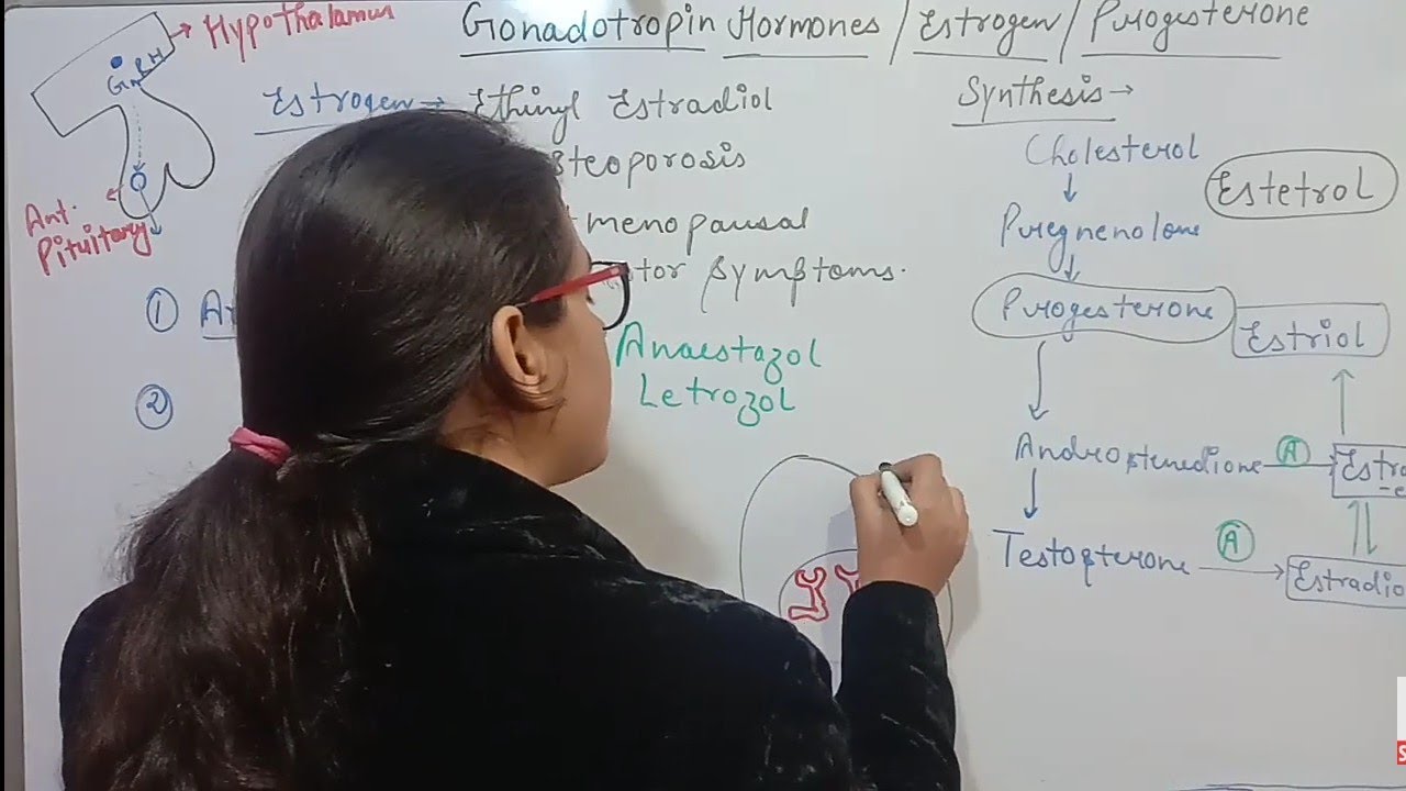 DRUG ACTING ON FEMALE REPRODUCTIVE SYSTEM |AROMATASE INHIBITORS |ANTIESTROGEN | SERM | ANTIPROGESTIN