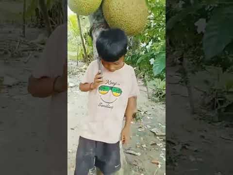 boro bhai comedy video 😆 #comedy 😆