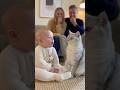 猫の鳴き声の真似をする赤ちゃんと鳴き声を返す猫👶🐱　#baby #cat #cute #funny #love #shorts#cats #shortvideo #赤ちゃん #猫