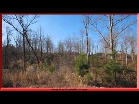 342 Wild Azalea Dr, Inman, SC home video tour