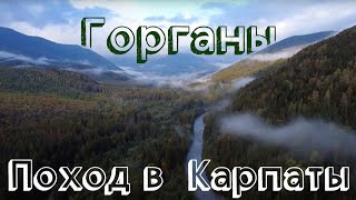 Поход в Карпаты зимней осенью - Горганы | Маршрут Осмолода - Мысловка