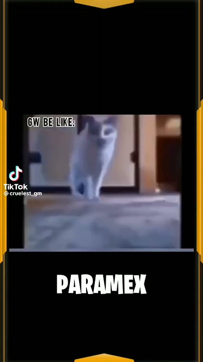 Meme kucing mana paramex😂😂😂😭😭😭😭🗿🗿💅💅