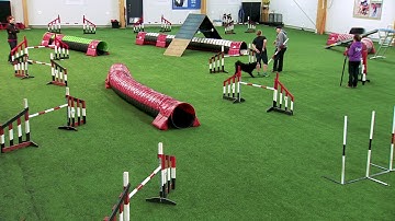 International Agility Training Week - Connection and commitment in Backside Sends - preview
