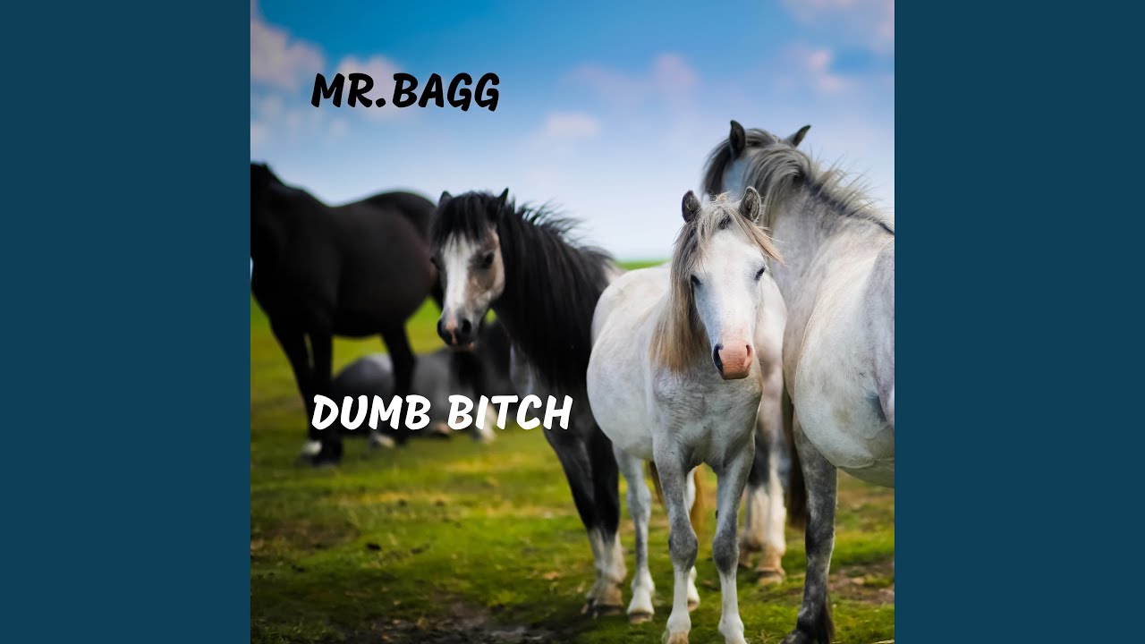 Watch Dumb Bitch on YouTube Watch Dumb Bitch on YouTube