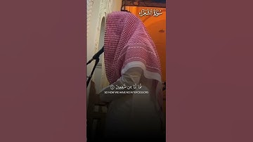 من النوادر | تلاوة حجازية بديعة لفضيلة الشيخ د.#عبدالله_القرافي