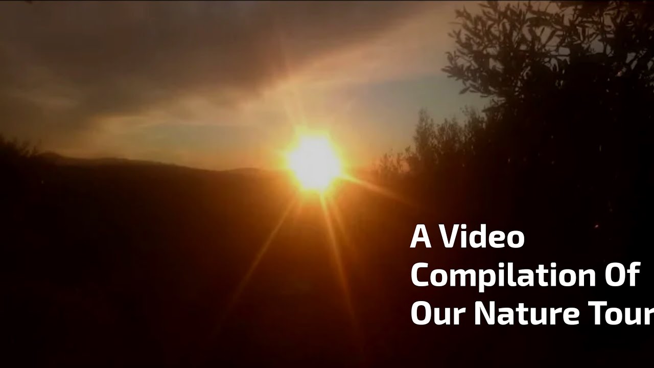 A Video Compilation Of Our Nature Tour YouTube