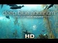 "Deep Blue Aquarium" 1 HR Static Nature Relaxation Screensaver Video 1080p