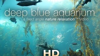 "Deep Blue Aquarium" 1 HR Static Nature Relaxation Screensaver Video 1080p