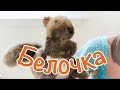 Пальчиковые игры с Юлей - Белочка