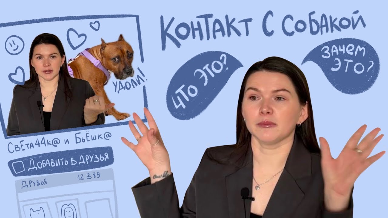 Контакт с собакой. Как улучшить?