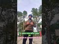 🇮🇹🤷♂️Italia ਮਾਲਕ ਦੇ ਰਹੇ 10 ਤੋ 12 euro 💶 rate indian 4 ਤੋ5 italy vich🇮🇳🤦♂️👀eruope #traveling travel