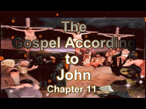 The Gospel Accordng to John Chapter 11 - YouTube