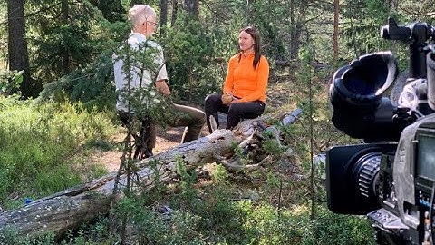 Creating roadmaps to the future of the forest sector, FutureForest2040 project