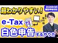 【2026年確定申告】e-Taxで白色申告するやり方を税理士が超わかりやすく解説【個人事業主/令和7年分】