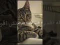 شو هادا الاسلوب عم تحكي علي و انا نايمة 