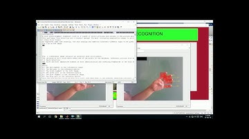 Real Time Hand Gesture Recognition