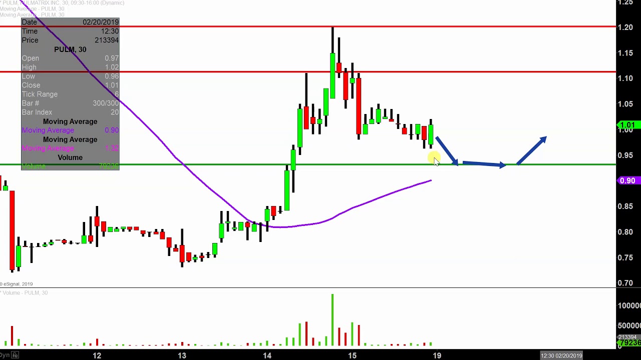 Pulm Stock Chart