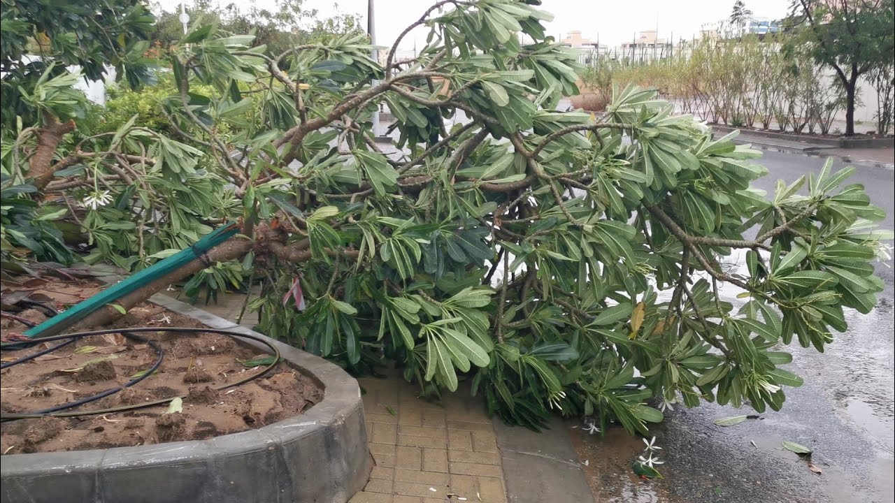 Shaheen - Oman Cyclone 2021 - Muscat Rain