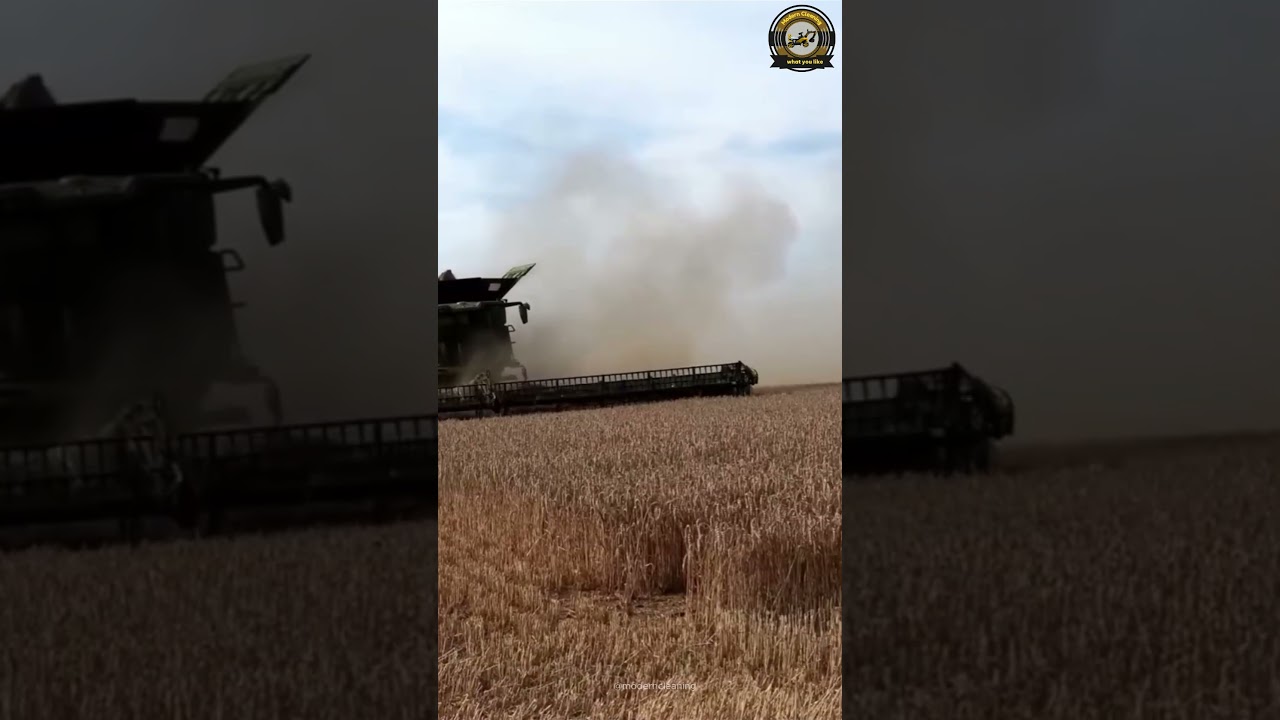 The largest harvester 