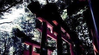 蜘蛛の糸 - Spiderweb