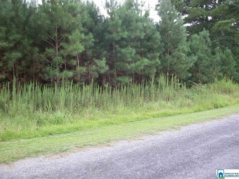 409 RIVER HILL LN 1, Adger, AL home video tour