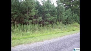 409 RIVER HILL LN 1 video tour