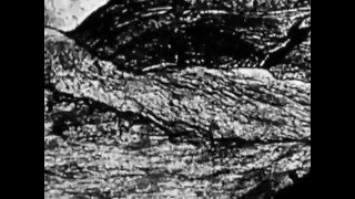 Видео Din of Celestial Birds (2006) (автор: HOLYSATAN)