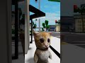 The Cat Taught Jake How to Moonwalk 😂 #roblox