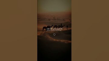 (أَفَلا يَنظُرُونَ إِلَى الإِبِلِ كَيْفَ خُلِقَتْ)|| تلاوة القارئ: عبدالرحمن مسعد #قران_كريم