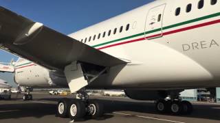 Walk Around the Dreamliner ! Airframe & Cockpit -- Royal Air Maroc Boeing 787 CN-RGU screenshot 5
