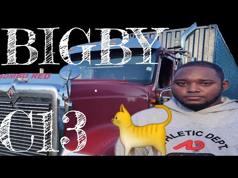 BIGBY 9900 INTERNATIONAL / C13🐈/ 18INA ✋️, TRUCKS IN JAMAICA 🇯🇲 ♥️