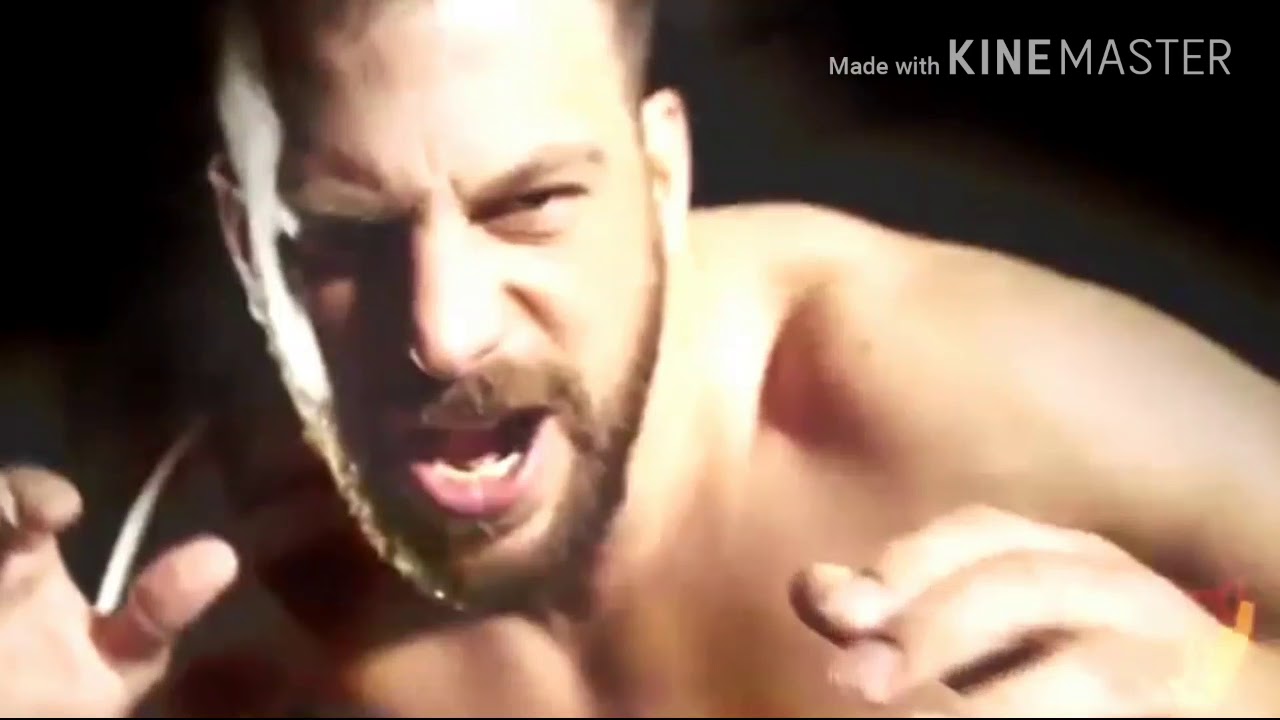 MY Top 10 WWE 205 Live Wrestlers