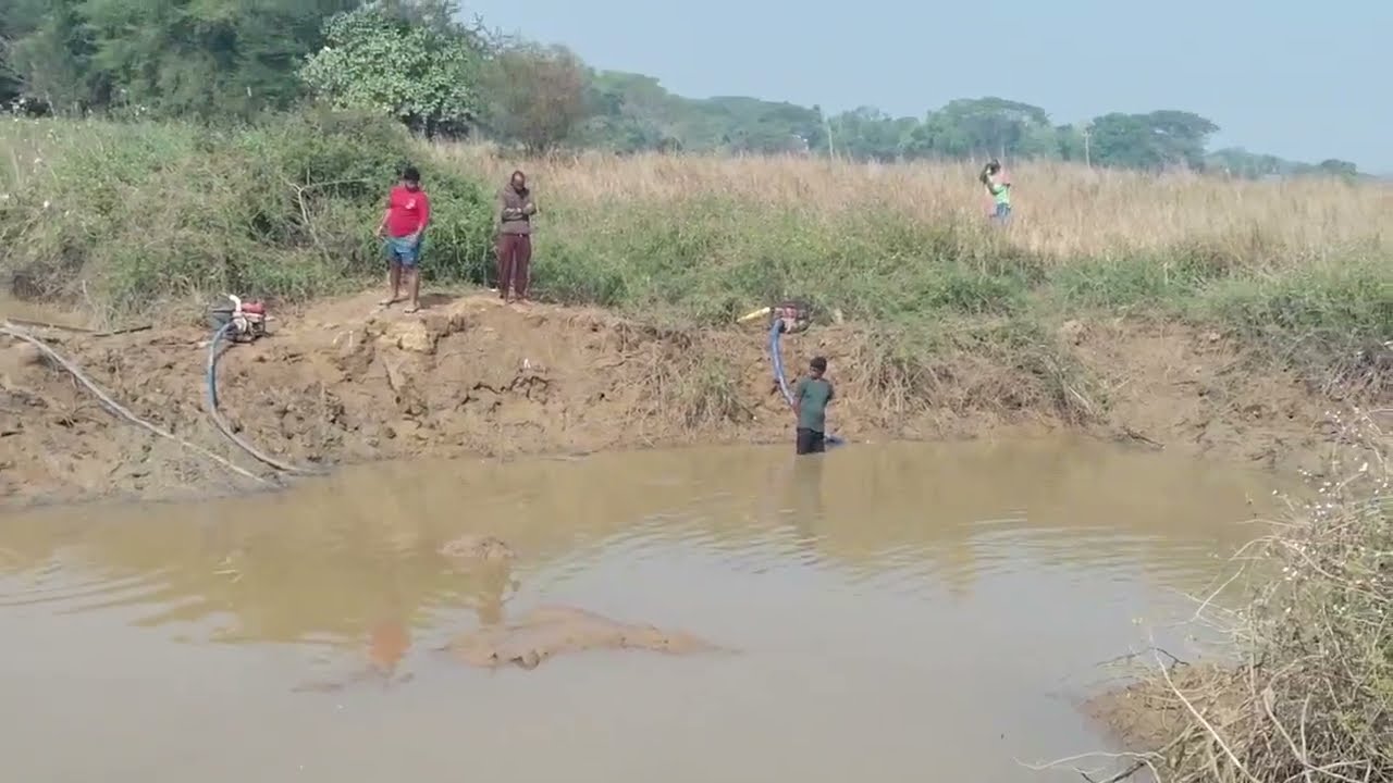 ଆମ ଗାଁ ଦଡାଂ ପୋଖରୀ ରୁ ମାଛଧରା ଭିଡିଓ 