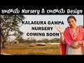  nursery   design  kalagura gampa nursery coming soon  best indoor plants