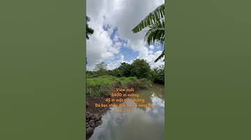 Đất vườn view suối giá rẻ ở đá bạc châu đức bà rịa vũng tàu#shorts