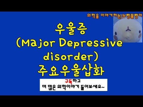 우울증(Major Depressive disorder)과 주요우울삽화 증례분석