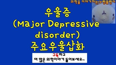 우울증(Major Depressive disorder)과 주요우울삽화 증례분석