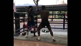 Buakaw Teachnical Muay Thai Pad Work