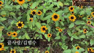 [색소폰연주]끝사랑/김범수. Saxo cover W. Peter