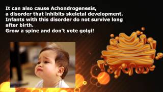 Cell Election- Rough Er