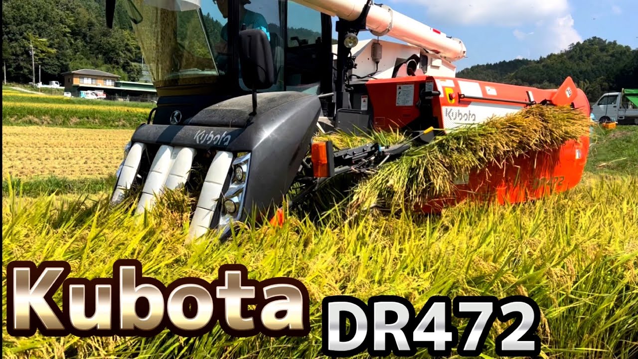Kubota DR472 クボタの4条72馬力コンバインで刈り取りSTAR🏃‍♂️