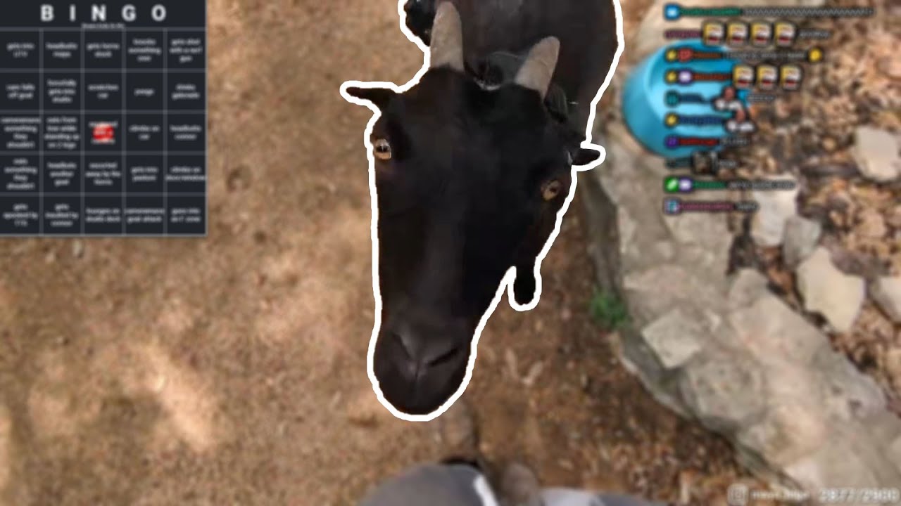 Goat Bingo - 5/25/23