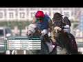 RM 35 Al Rayyan Race 6- H.H. Sheikh Mohammed bin Khalifa Al Thani Trophy